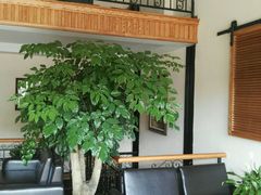 大堂-SEN CASTLE城堡西餐(创意设计中心店)