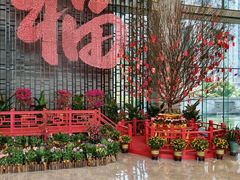 -春满园·早茶·粤菜·宴会(前海店)