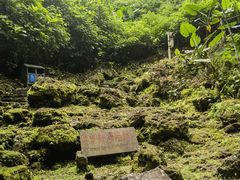 -海口火山口国家地质公园