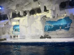 -华夏文旅海洋公园