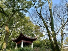 -天一阁博物院