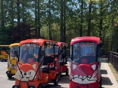 -黄海国家森林公园