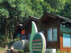 -潜山国家森林公园