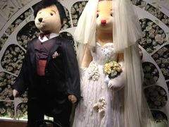 -济州岛泰迪熊博物馆