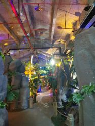 -恐龙探索乐园(磁器口店)