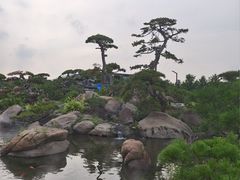 -罗红摄影艺术馆