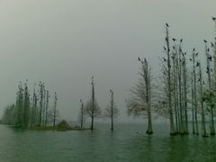 -东湖落雁景区