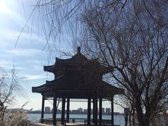 -南湖国家城市湿地公园