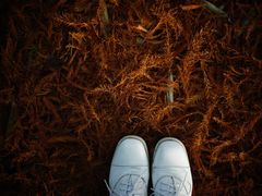 -昆山城市生态森林公园