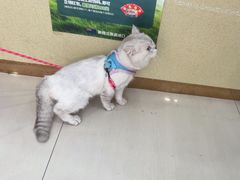 -天宠宠物医院24小时·急重症诊疗中心·全科·腔镜特色(和平分院)