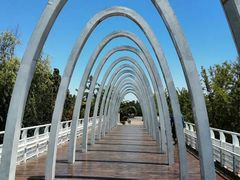 -大兴滨河森林公园