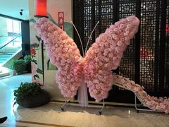 -洛阳宴·洛阳菜(南昌路店)