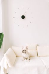 -ZOO KIDS象集摄影工作室(西城公馆店)