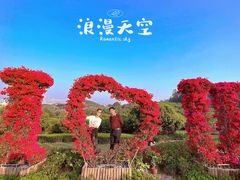 -东莞植物园