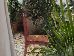 -时光花园(白鹭洲店)