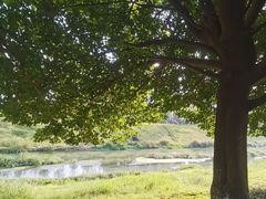 -两河城市森林公园