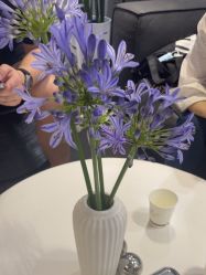 点击看大图 -春田皮肤管理中心品牌旗舰店