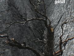 -墨石公园景区