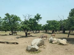 -西安秦岭野生动物园