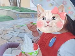 -Salud撒露欧洲冻酸奶(蓝色港湾店)