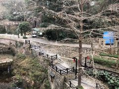 -宁海森林温泉