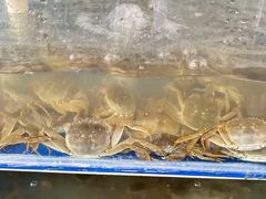 -阳澄湖大闸蟹·琼灵阁牌品牌连锁(吴中总店)