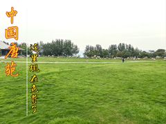 -中国唐苑