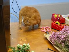 -花心思鲜花店(武昌徐东店)