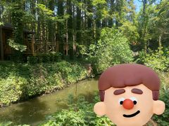 -日照海滨国家森林公园
