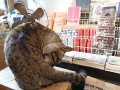 -正阳书局(西四南大街店)
