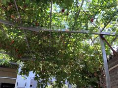 -伊隆斋(什刹海店)