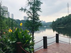 -重庆彩云湖湿地公园