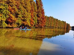 -上海海湾国家森林公园