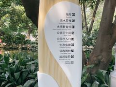 -成都市活水公园