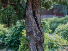 -大钟寺古钟博物馆