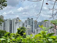 -东望洋炮台东望洋灯塔
