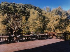 -洛阳白云山景区