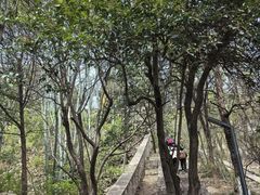 -云龙山