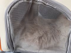 -中农国际动物医院24小时·猫科·骨科·急重症中心