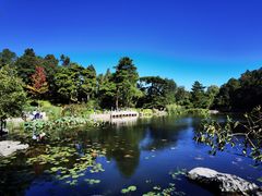 -香山公园