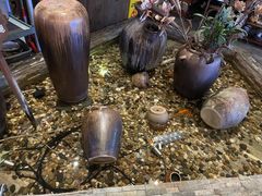 -同仁四季椰子鸡(宝安壹方城店)