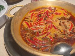 -小龙坎火锅(全球旗舰店)