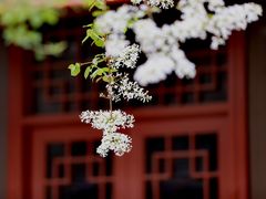 -独乐寺