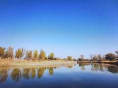 -野鸭湖国家湿地公园