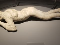 -盘龙城国家考古遗址公园