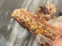 -鸽鸟轩(石岐店)