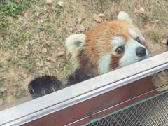 -无锡动物园·太湖欢乐园