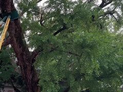 -无锡惠山寺