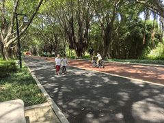 -南宁南湖公园