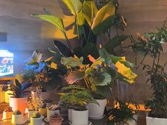 -火塘云南烧烤大排档